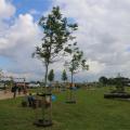 Opening Speeltuin Molenhof - 22
