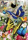 Diapresentatie over vlinders door IVN